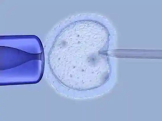 宜宾当多元家庭拥抱新生命：解锁 “彩虹生子” 的温暖密码