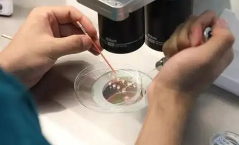 宜宾打破偏见的生命礼赞：同性生子背后的爱与坚守